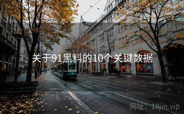 关于91黑料的10个关键数据