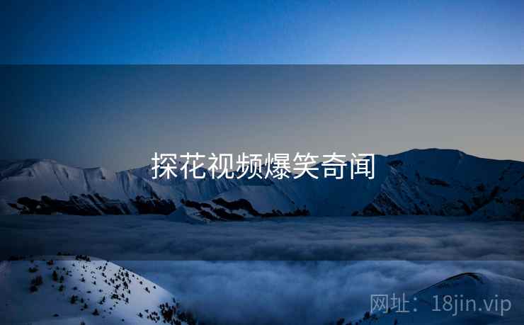 探花视频爆笑奇闻