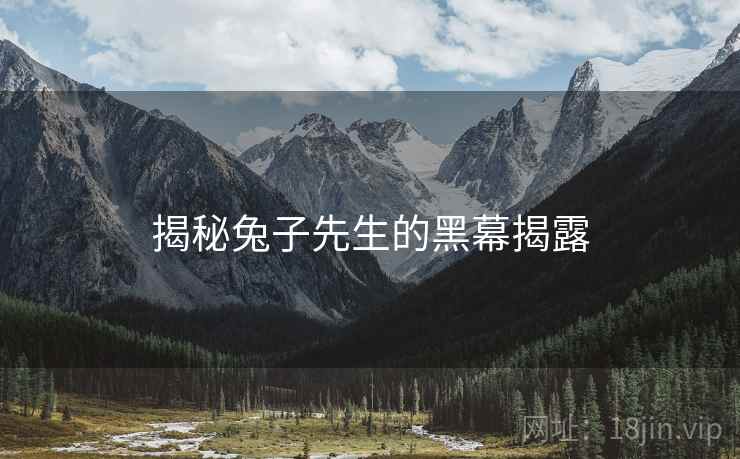 揭秘兔子先生的黑幕揭露