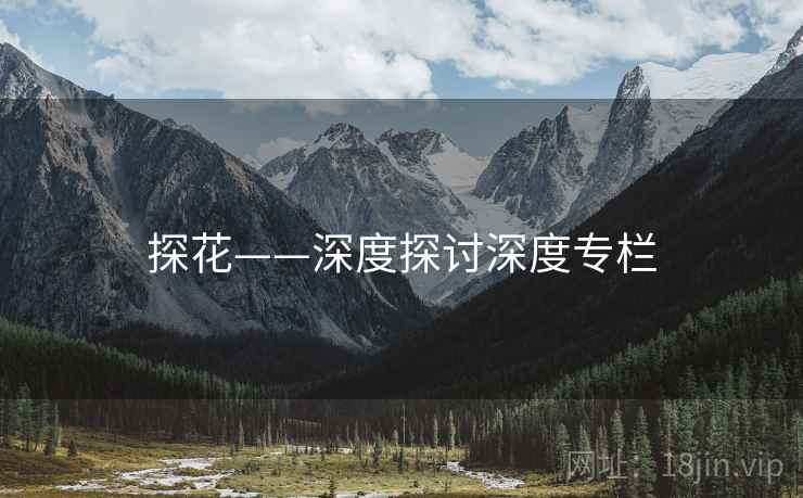 探花——深度探讨深度专栏