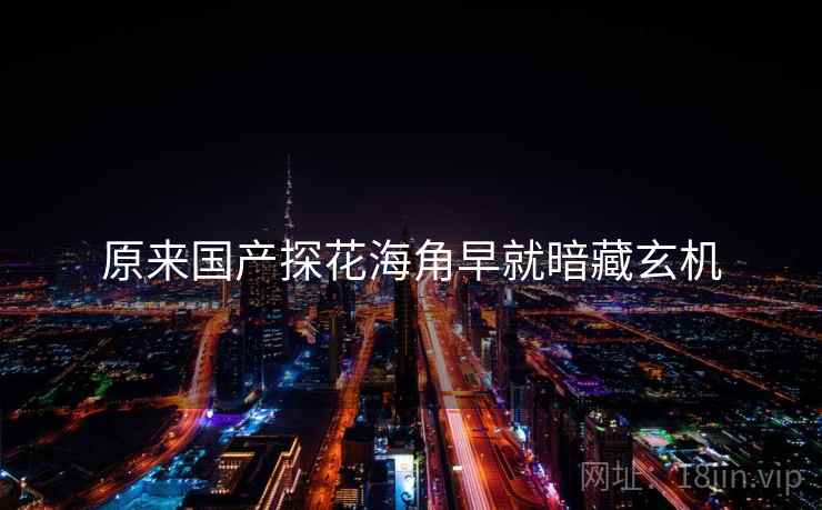 原来国产探花海角早就暗藏玄机
