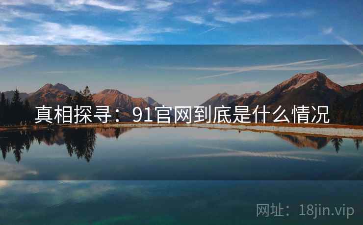 真相探寻：91官网到底是什么情况