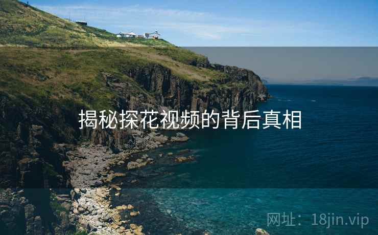 揭秘探花视频的背后真相