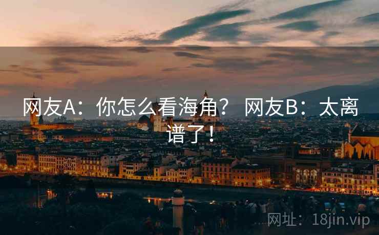 网友A：你怎么看海角？ 网友B：太离谱了！