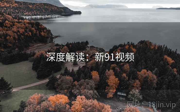 深度解读：新91视频