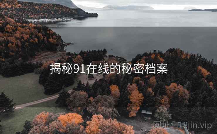 揭秘91在线的秘密档案