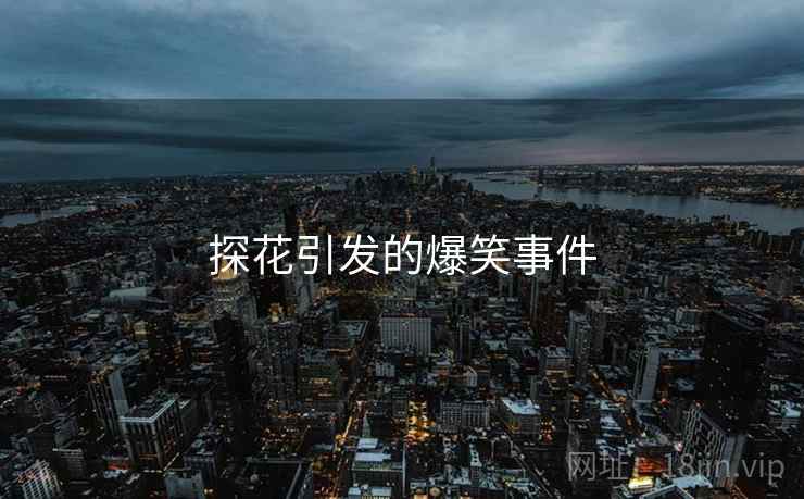 探花引发的爆笑事件