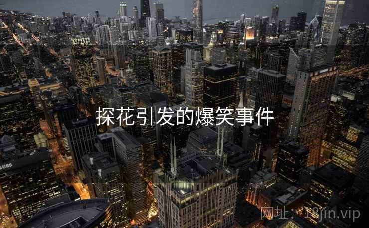 探花引发的爆笑事件
