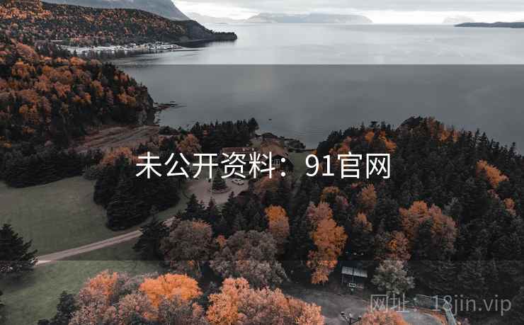 未公开资料：91官网